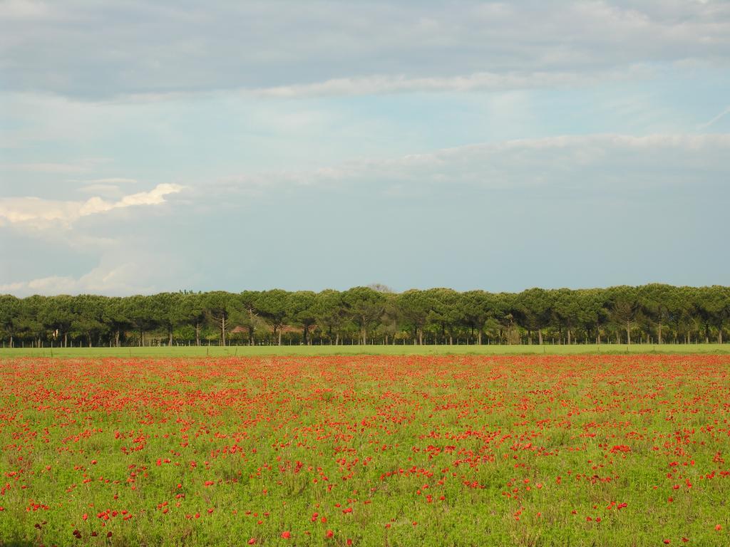 Appartamenti Mirella Bibione Exterior foto